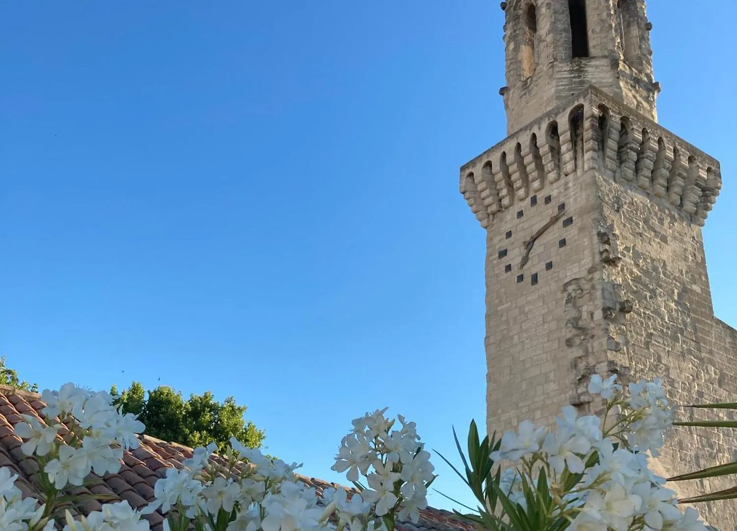 La Maison Des Augustins 4 Stars Spa Et Fitness Avignon Bed & Breakfast