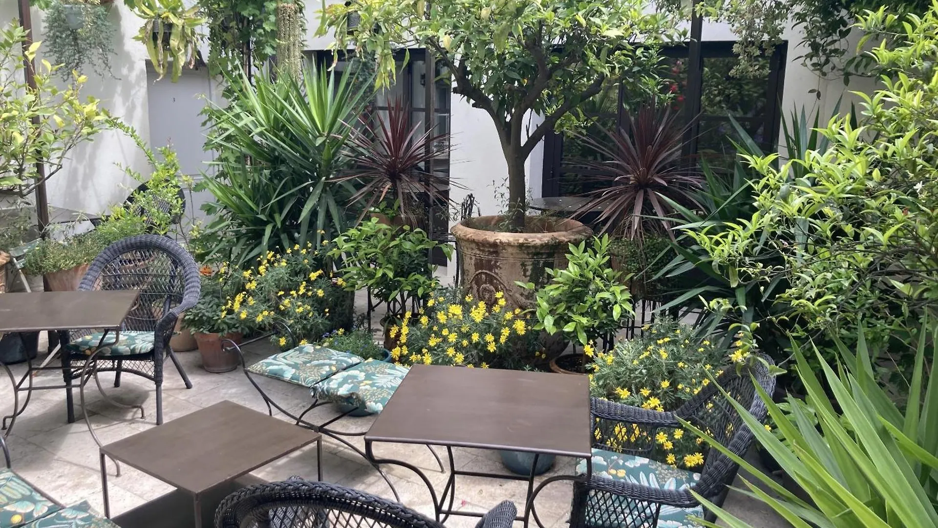 La Maison Des Augustins 4 Stars Spa Et Fitness Avignon