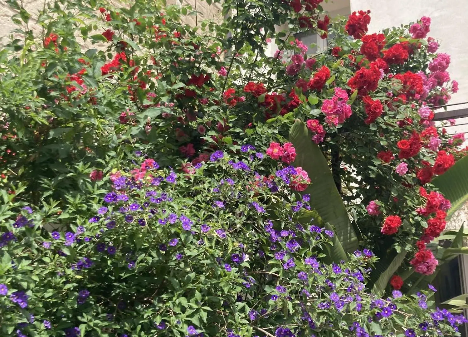 La Maison Des Augustins 4 Stars Spa Et Fitness Avignon