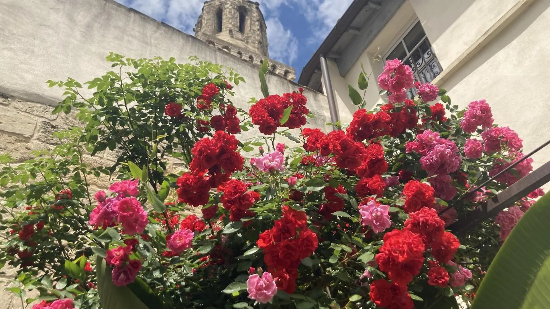 La Maison Des Augustins 4 Stars Spa Et Fitness Avignon France